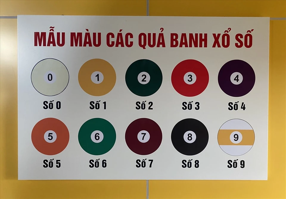 Trải Nghiệm Đá Gà Trực Tiếp: Hôm Nay C1, C2, C3, C4