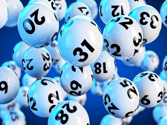 Trực Tiếp Đá Gà Thomo: Nơi Giao Lưu Của Đam Mê Và Truyền Thống