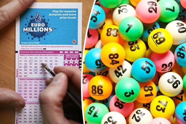 Bj88 Đá Gà: Trải Nghiệm Đá Gà Trực Tiếp Tại Trường Thomo